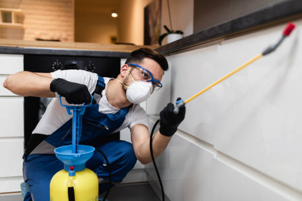 Best Exterminator Services  in Vista Center, NJ