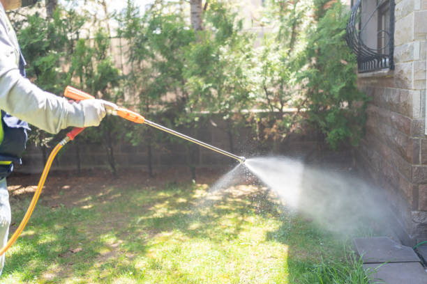Best Affordable Pest Control Services  in Vista Center, NJ